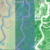 Panel of Digital Terrain Model, Digital Surface Model, and Canopy Height Model datasets over a section of the Trinity River. (Credit: OpenTopography)